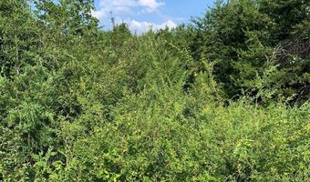 Rock House Road, Blacksburg, SC 29702