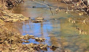 Watt Abbitt Rd, Appomattox, VA 24522