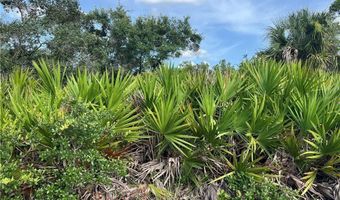4183 E 27th St, Alva, FL 33920