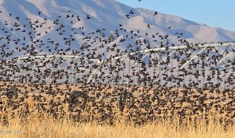 45 E Cochise Way, Cochise, AZ 85606