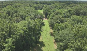 Hwy 1591, Bardwell, KY 42023