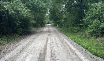 R15685 Moore Cemetery Road, Apple Springs, TX 77519