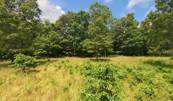 County Road 200, Alton, MO 65606