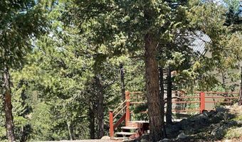 383 Evergreen Rd, Black Hawk, CO 80422