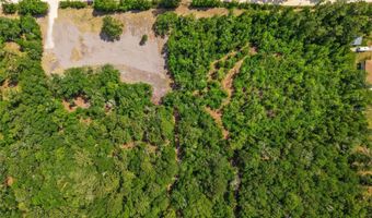 4814 NW 244 Ave, Alachua, FL 32615