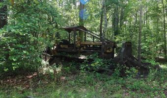 1091 Pine Grove Rd, Batesburg Leesville, SC 29006