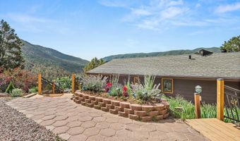 679 Pinon Dr, Basalt, CO 81621