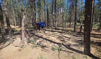 Smith Drive lot 5, Beatty, OR 97621