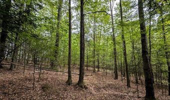 Stewart Road, Addison, NY 14801