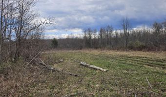 295 Shellstone Rd, Amsterdam, NY 12010