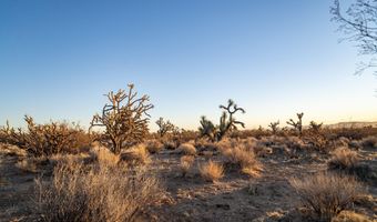 2641 S Javalina Rd, Yucca, AZ 86438