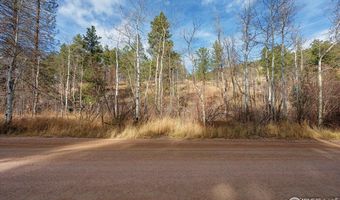 0 Cougar Cir Ct, Bellvue, CO 80512
