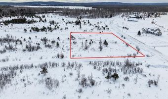 6412 Lora Bette Dr, Alanson, MI 49706