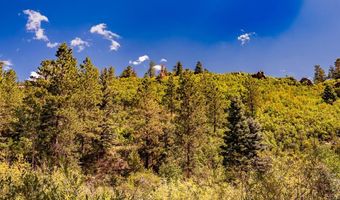 County Rd 46, Aguilar, CO 81020