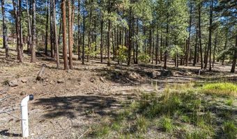 138 Green Ridge Dr, Bayfield, CO 81122