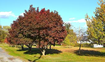 1436 Glen Ray Rd, Alderson, WV 24910