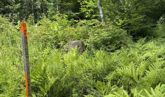 1386 Clif Reynolds Rd, Cambridge, VT 05444
