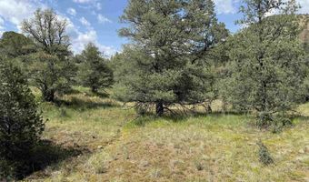 XY Black Dog Road, Silver City, NM 88061