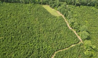 0 County Road 204, Ariton, AL 36311