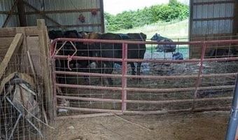 Promiseland Road, Blaine, TN 37709
