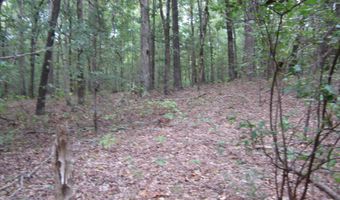 500 Cr 708, Blue Mountain, MS 38610