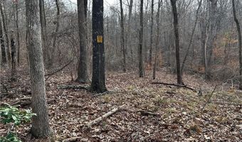 Hwy 105, Baldwin, GA 30511