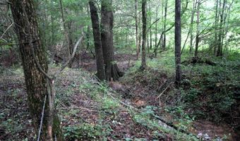 000 AVE 5 SW St, Atkins, AR 72823