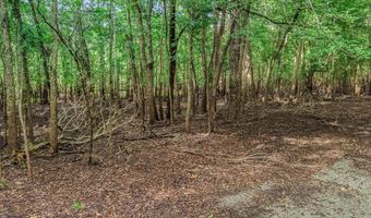17 Th St, Bell, FL 32619