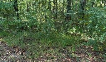1089 Damascus Dr, Ball Ground, GA 30107