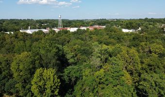 604 S Brookside Ave, Ash Grove, MO 65604