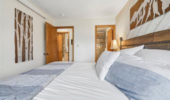 305 S Park Ave 303, Breckenridge, CO 80424