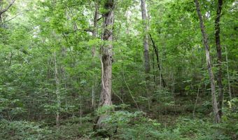 Whiskey Creek Lane, Batesville, AR 72501