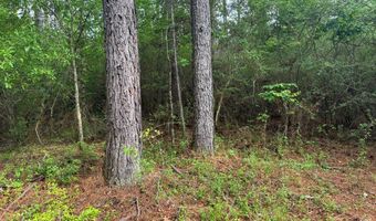 2780 Jackson Liberty Rd, Bogue Chitto, MS 39629