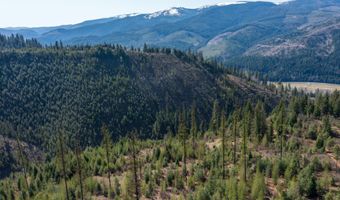 NKA 262 Ac N Side Rd, Calder, ID 83808