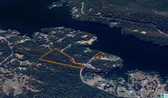 0 GIBSON COVE Dr 7.10 Acres Plus . 58 ac Access Lot, Ashville, AL 35953