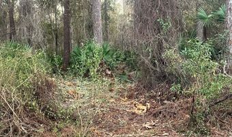 34 Gibson Rd, Apalachicola, FL 32320