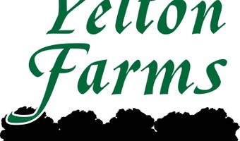 3320 RAY OWENS Rd, Appling, GA 30802