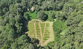 4496 State Hwy 130, Banks, AL 36005