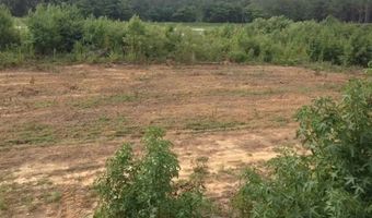 10664 Burton's Ferry Rd, Allendale, SC 29810