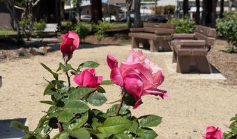 3206 Garfield Ave, Alameda, CA 94501
