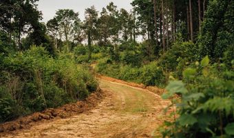447 County Road 215, Abbeville, MS 38601
