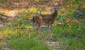 7419 Lake West Rd, Bennington, OK 74723