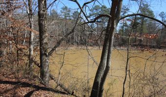 0 Stone Mtn, Tallapoosa, GA 30176