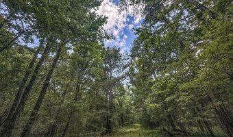 Pine Lodge Road, Batesville, MS 38606