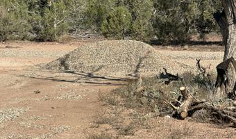 1325 W Ralphs Cir, Ash Fork, AZ 86320