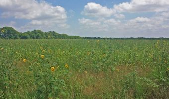 2417 County Road 211, Alvarado, TX 76009