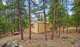 901 CR 64, Bailey, CO 80421