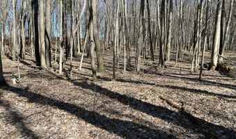 5725 Whitneyville Ave SE, Alto, MI 49302