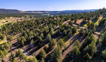 737 Raccoon Ln, Alturas, CA 96101