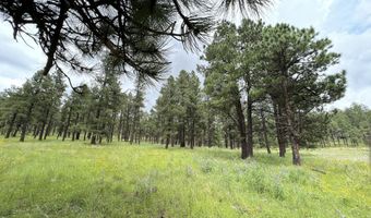 1 A FOREST ROAD 26, Alpine, AZ 85920